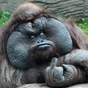 Meet your Posher, Jeff